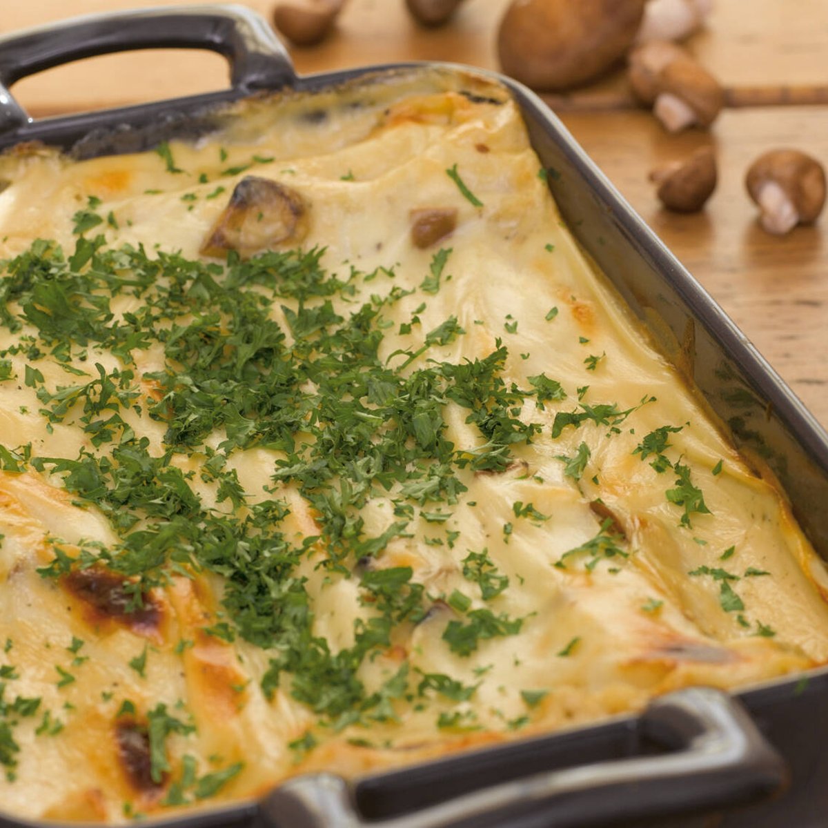 Sienilasagne