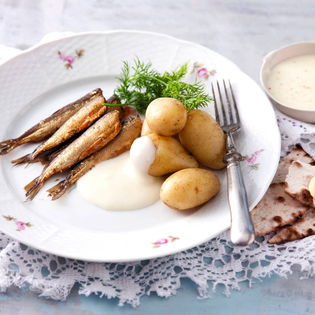 Vanhanajan maitokastike & muunnokset