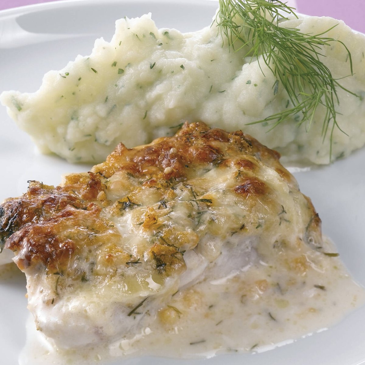 Juustokala