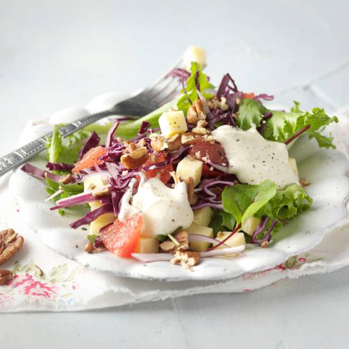 Juusto-punakaalisalaatti