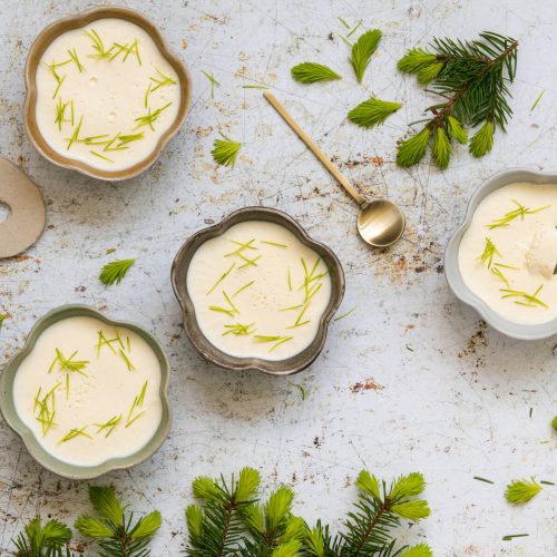 Kuusenkerkkä panna cotta