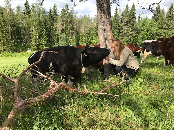 Perinnebiotooppilaidun Hukkalan tilalla