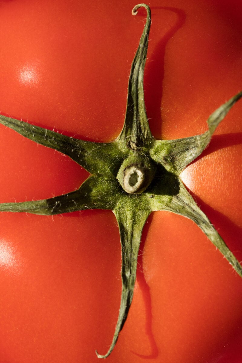 Ruokahimo Satu Koivisto tomaatit