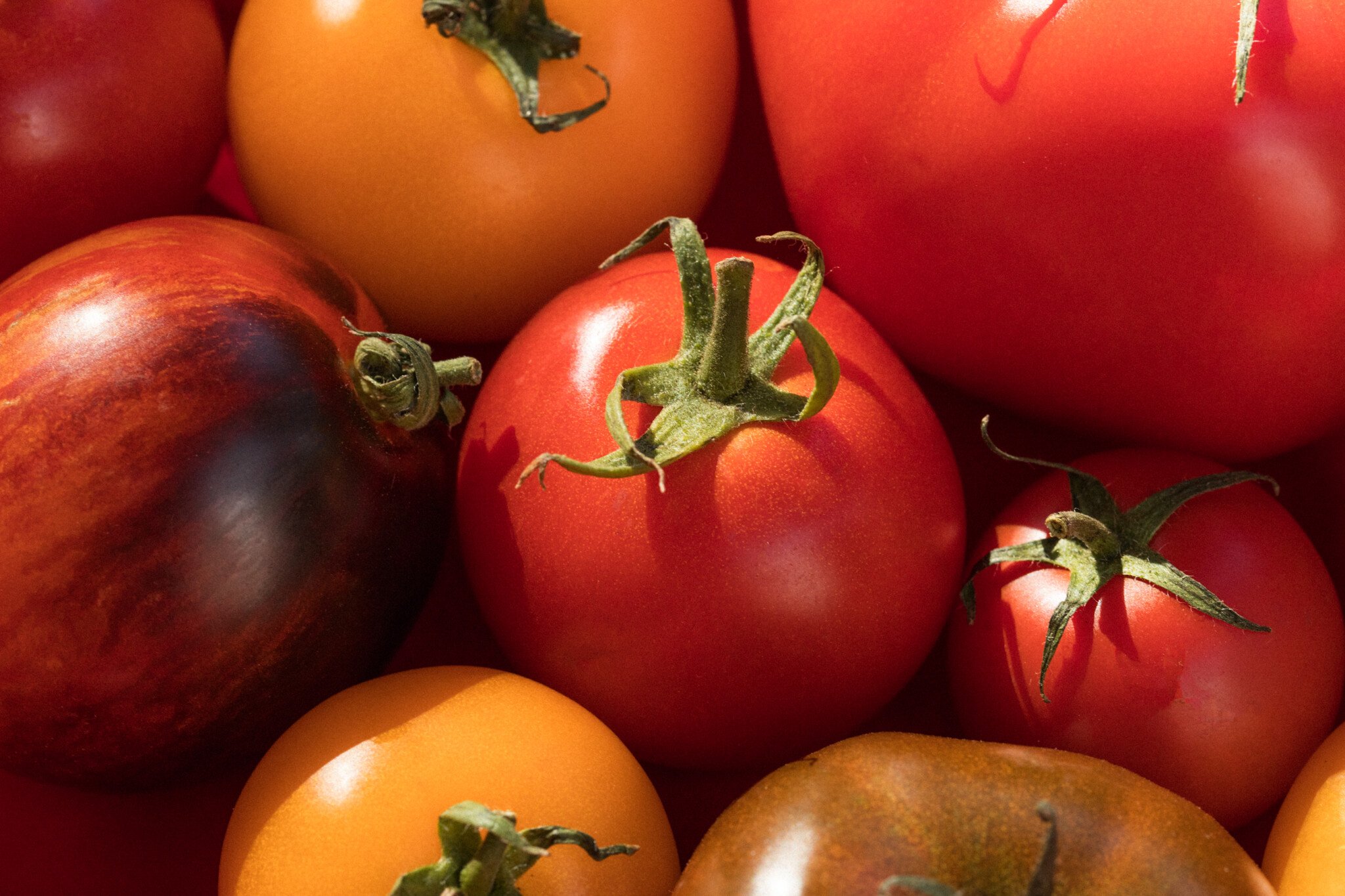 Ruokahimo Satu Koivisto