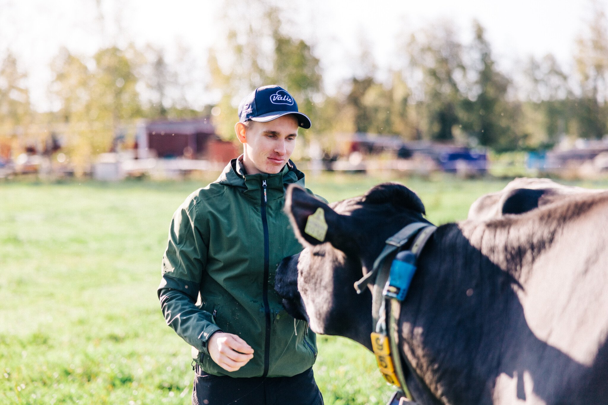 Valion ILMA pilottitila