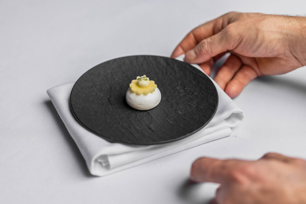 Teemu Auran AURA minipavlovat