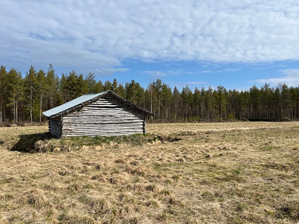 Ekviton