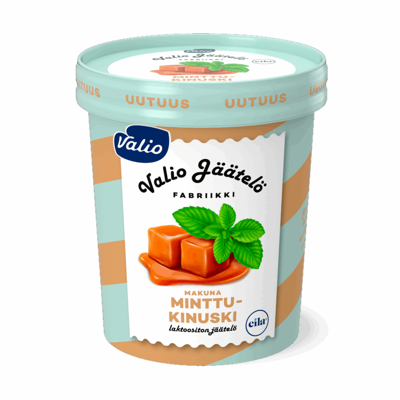 Valio jäätelö minttu-kinuski laktoositon 480 ml