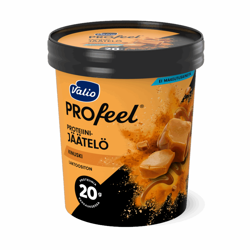 Valio PROfeel® proteiinijäätelö 480 ml kinuski laktoositon