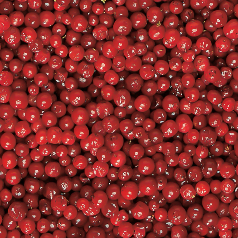 Valio puolukka (Suomi) 2,5 kg x 2 / 5 kg