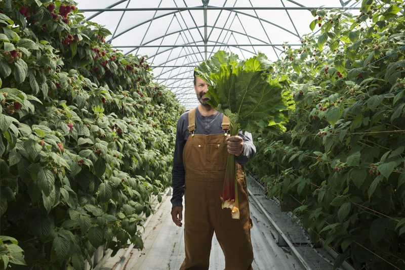 Ihminen puutarhassa, esittelee tuotteita kameralle.