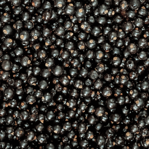 Valio mustaherukka (Suomi) 2,5 kg x 2 / 5 kg