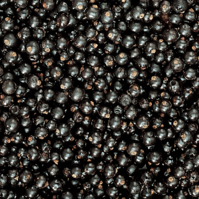 Valio mustaherukka (Suomi) 2,5 kg x 2 / 5 kg