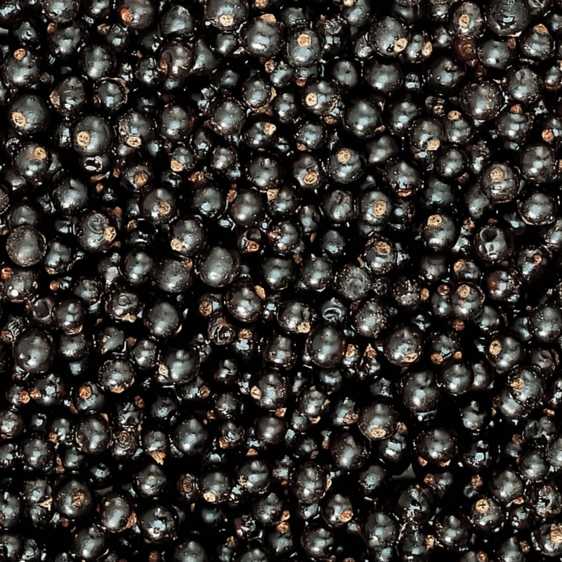 Valio mustaherukka (Suomi) 2,5 kg x 2 / 5 kg