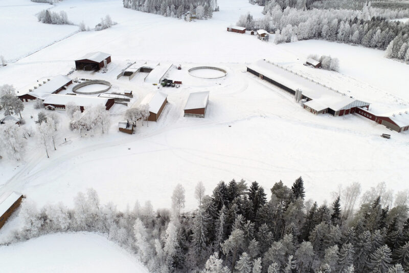 Ilmakuva Nestorin tilasta