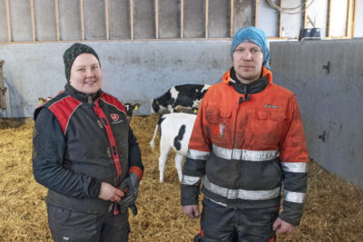 Minna ja Samu Vilden navetassa.