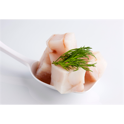 FS kalakuutio 5 kg (n. 12 g)