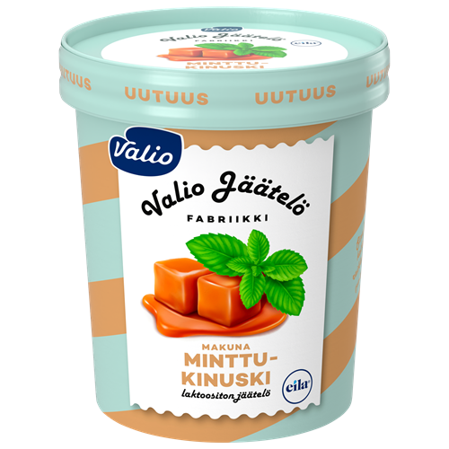Valio jäätelö minttu-kinuski laktoositon 480 ml