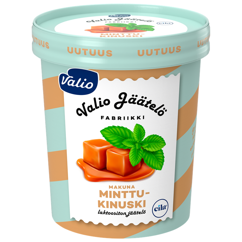 Valio jäätelö minttu-kinuski laktoositon 480 ml